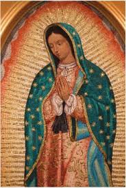 Guadalupe football club page on flashscore.com offers livescore, results, standings and match details (goal scorers, red cards football, costa rica: Celebrating Our Lady Of Guadalupe With Prayer And Action We Are Salt And Light