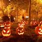 Samhain (All Hallows) event image