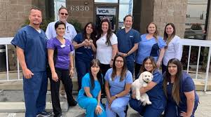 Visit blue cross pet hospital in north hollywood, ca and save 25% on your vet bill with a pet plan by pet assure. Veterinarians In Woodland Hills Ca Vca Parkwood Animal Hospital