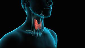 Affrontare la patologia con un approccio a 360 gradi è l'unica arma vincente, quindi rimbocchiamoci le maniche ed agiamo in maniera integrata con la giusta alimentazione e integrazione,l' igiene del sonno, la gestione dello stress, l'attività fisica, e la rimozione dei possibili trigger. Dieta Per Tiroidite Di Hashimoto Alimenti Consigliati E Da Evitare Italia Che Cambia