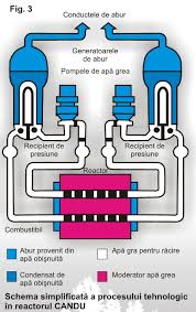 Loc de pescuit (de la dan) 6.5 km. Scientia Ro Centrala NuclearÄ AlcÄtuirea Si FuncÅ£ionarea Unui Reactor Nuclear De Tip Candu