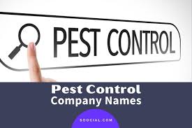 Maybe you would like to learn more about one of these? Amovag6d45orxm