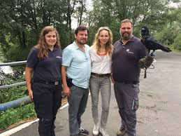 Januar, ihr tod war aber erst am freitagabend bekanntgeworden. Unser Rabe Am Filmset Von Die Toten Von Marnow Eventfalknerei