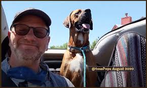 Expert Dog Trainer & Behaviorist