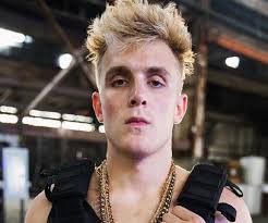 Jake Paul Bio Facts Family Life Of Actor Viner