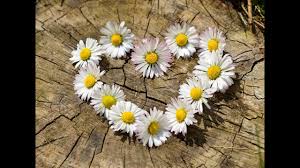 Chat and start dating with single men and single women from australia. Singletreff Kostenlos Singles Frauen Berlin Frauen Aus Kennenlernen Berlin Single Kino September 2020