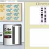 I used ribomax to change dna to rna. 1