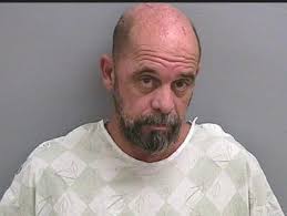 Lee County man charged with 58 offenses related to child sex abuse