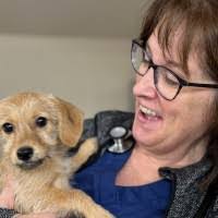 Megan Volpe's Instagram, Twitter & Facebook