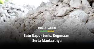 Check spelling or type a new query. Batu Kapur Jenis Kegunaan Serta Manfaatnya