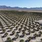 Farm Tour event in Wellton, AZ