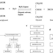 The present invention provides a process for the conversion of triglycerides in biodiesel by using chlorotrimethylsilane (tmsci) as efficient catalyst, working in homogeneous phase, and not contaminating the final products. Pdf Biodiesel Production With Special Emphasis On Lipase Catalyzed Transesterification