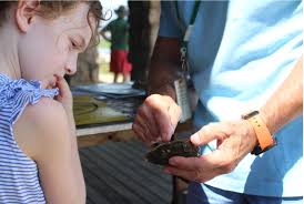 Experience the Sound Grand Opening at Tod's Point Set for June 26