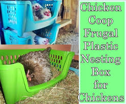 The box floor is lower than the entrance, which helps. Chicken Coop Frugal Plastic Nesting Box For Chickens The Homestead Survival Chicken Nesting Boxes Chicken Diy Diy Chicken Coop