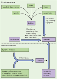 The Interface Between Delirium And Dementia In Elderly