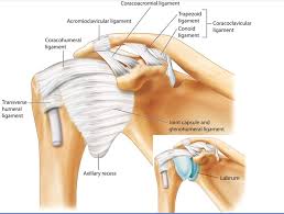 … bienvenidos learn how to use mayo clinic connect community guidelines help center request. How I Do It Ultrasound Guided Injection For The Shoulder Part 2
