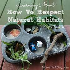 When you study the environment in your classroom you may also study ecosystems and ecology. Simple Activity For Preschoolers To Learn About Respect For The Environment From Moments A Day Preschool Activities Nature Activities Teaching Kids