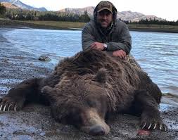 After more than 15 days of hunting the giant coastal bears of alaska jason price and bob summers find themselves face to face with a very curious brown bear! Alaska Peninsula Brown Bear Hunts Alaskan Hunts