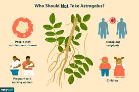 Image result for Astragalus