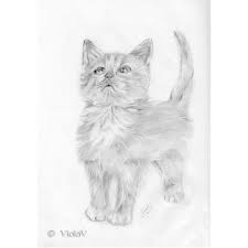 Volevo un gatto nero canzoni famose su filastroccheit. Disegno A Matita Bianco E Nero Gatto Archives Violetta Viola