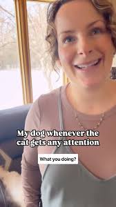 Petting Marshall in front of Rudy is actually a criminal offense.  #goldenretrievers