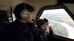 Image result for intext:"powered by ubb" steer