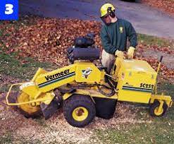 How To Use A Stump Grinder To Rid Your Yard Of Tree Stumps Stump Grinder Stumped Grinder