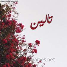 تالين شكل 18 صوره الورد الأحمر للإسم بخط رقعة كتابة على الورد 2021