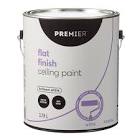 Ceiling Paint, White, 3.78-L Premier