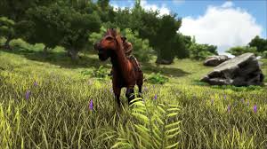 One way to spawn creatures in ark is to use the summon command. Ark Survival Evolved Equus Leedsichthys Ichthyornis Iguanodon Underwater Bases And Tek