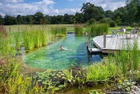 Explore Our Swimming Pond And Natural Swimming Pool Gallery Showcasing The Environment Swimming Pool Landscaping Natural Swimming Ponds Natural Swimming Pools