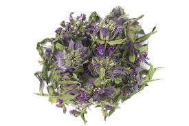 Image result for Motandra paniculata