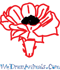 The images above represents how your finished drawing is going to look and the steps involved. How To Draw A Cactus Flower