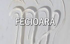 Cu toate ca firea lor. Horoscop Acvaria Fecioara Horoscop Zilnic Horoscopul Zilei Ieri Azi Maine