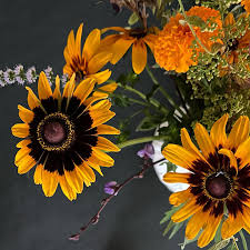 Profile for Amy Beth Cupp Design