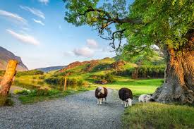 Bekijk meer ideeën over schotland, engeland, vakantie. Rondreis Engeland Wales Schotland Oad Nl