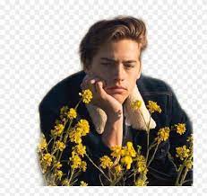 Maybe you would like to learn more about one of these? Colesprouse Riverdale Cole Sprouse Yellow Freetoedit Lock Screen Cole Sprouse Wallpaper Hd Hd Png Download 749x712 5439694 Pngfind
