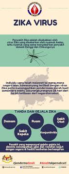 Dibawa oleh nyamuk aedes yang. Zika Pusat Darah Negara Kementerian Kesihatan Malaysia Facebook