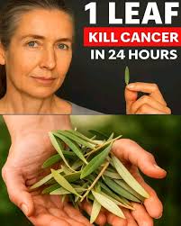 Aloe Vera And Castor Oil Remove All Wrinkles Even At 80! Anti