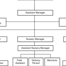 Line And Staff Organization Structure Download Scientific