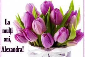 Cu toții vă apreciem și vă iubim foarte mult și de aceea vă felicităm și vă dorim sincer ca îngerii buni să vă aducă mai multă dragoste și mai mult noroc, sănătate puternică și dispoziție însorită! Sf Alexandru Mesaje Si Felicitari La Multi Ani Alexandru Alexandra Alex Si Alexia