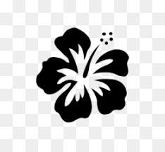 In ai, svg, png, jpg and psd. Hawaii Flower Png Hawaii Flower Border Cleanpng Kisspng