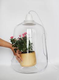 Vegetal Milo Plant Lamp Id Lights Glass Lamp Lamp Design Hanging Terrarium