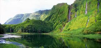 Afbeelding van flores, azoren (joaoc2568, apr 2021). Flight To Flores Discover The Azores Azoresairlines By Sata