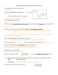 Protein Synthesis And Gene Expression Common Assessment Review