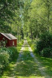 Sweden Dalarna Swedishhouse Country Roads Country Roads Take Me Home Beautiful Places