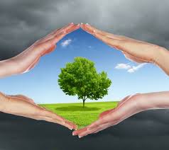 Trees: A Breath of Fresh Air | caufc