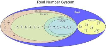 Are There Real Numbers That Are Neither Rational Nor