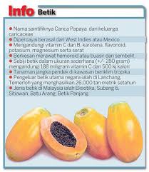 Ramai orang menganggap durian sebagai buah yang sedap, ia dipanggil raja buah oleh penduduk tempatan. Fama Malaysia No Twitter Lebihkan Makan Buah Buahan Tempatan Nikmati Betik Hari Ini Untuk Kebaikan Tubuh Badan Anda Kaya Dengan Vitamin C Chedetofficial Famadihatirakyat Lebihkanmakanbuahbuahantempatan Sumber Kosmo Online Https T Co