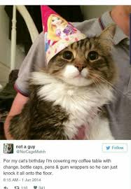 Visit saying images on pinterest. Pin By Nomad S Wanderer On Caturday Night Fever Cat Birthday Cats Grumpy Cat Humor